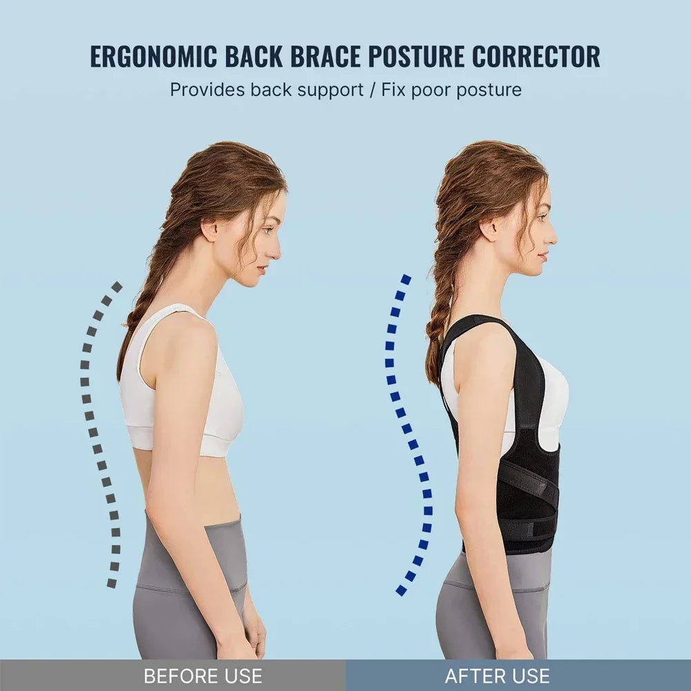 Moderngaloore Full Back Dominator Brace - size and measurement guide